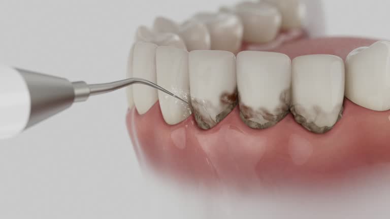 Reliable Emergency Dentist contractor in Luce County County, MI by Dentist Open Now